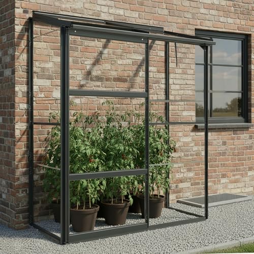 Gewächshaus Glas 0,9 m² Aluminium Rahmen mit Schiebetür | Premium Wand-Gewächshaus schwarz Temperaturkontrolle Aufstellfenster | Tomaten- und Anzuchtgewächshaus 130 x 68 x 173 cm (B x T x H)