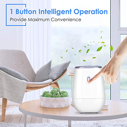 Dehumidifier - 41oz Capacity Electric Dehumidifier,Portable Mini Air Dehumidifiers, Auto Quiet up to 220 sq ft, Anti Overflow Dehumidifier for Home Bathroom Bedroom Closet Office Basement
