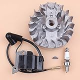 Beixi Zeit Schwungrad Zündspule Modul Zündkerze Kit Fit for Honda GX25 GX25N Mini Motor Motor HHT25S FG110 Trimmer Freischneider Rasenmäher