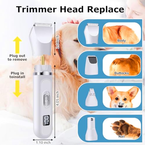 Image of Qpets 4 in 1 Electric Dog Grooming Kit - USB Hair Trimmer with 2 Limiting Combs for Thick Long Hair - Suitable for Dogs and Cats