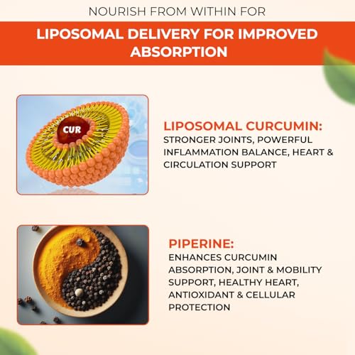 Image of The Body Reserve Liposomal Curcumin Capsules, 500mg with Piperine, Anti-Inflammatory Supplement for Adults Pure Turmeric Extract for High Absorption Joint & Heart Health Support - 60 Caps