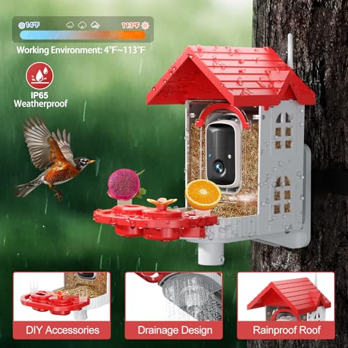 Smart Bird Feeder Camera Solar Powered