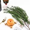 Tavkite 3.5OZ Preserved Real Pine Leaves Branches -17'' Natural Christmas Greenery Plants Twigs Stems Pine Needles Evergreen Picks for Garland Wreath Xmas Wedding Home Party Indoor Outdoor Decor #5