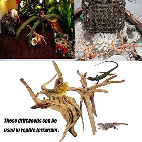 Tfwadmx Aquarium Driftwood Natural Wood Reptile Branch Fish Tank Tree Plant Stump Ornament Decor 4 Pcs #TOP4