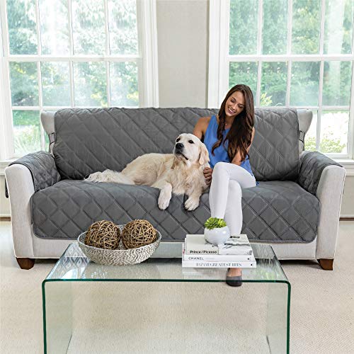protective couch covers dogs