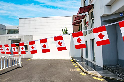 TSMD Canada Flag, 100 Feet Canadian Flag National Country Flags Banner,Party Decorations Supplies for Grand Opening,Olympics,Bar,School Sports Events,International Festival Events Celebration