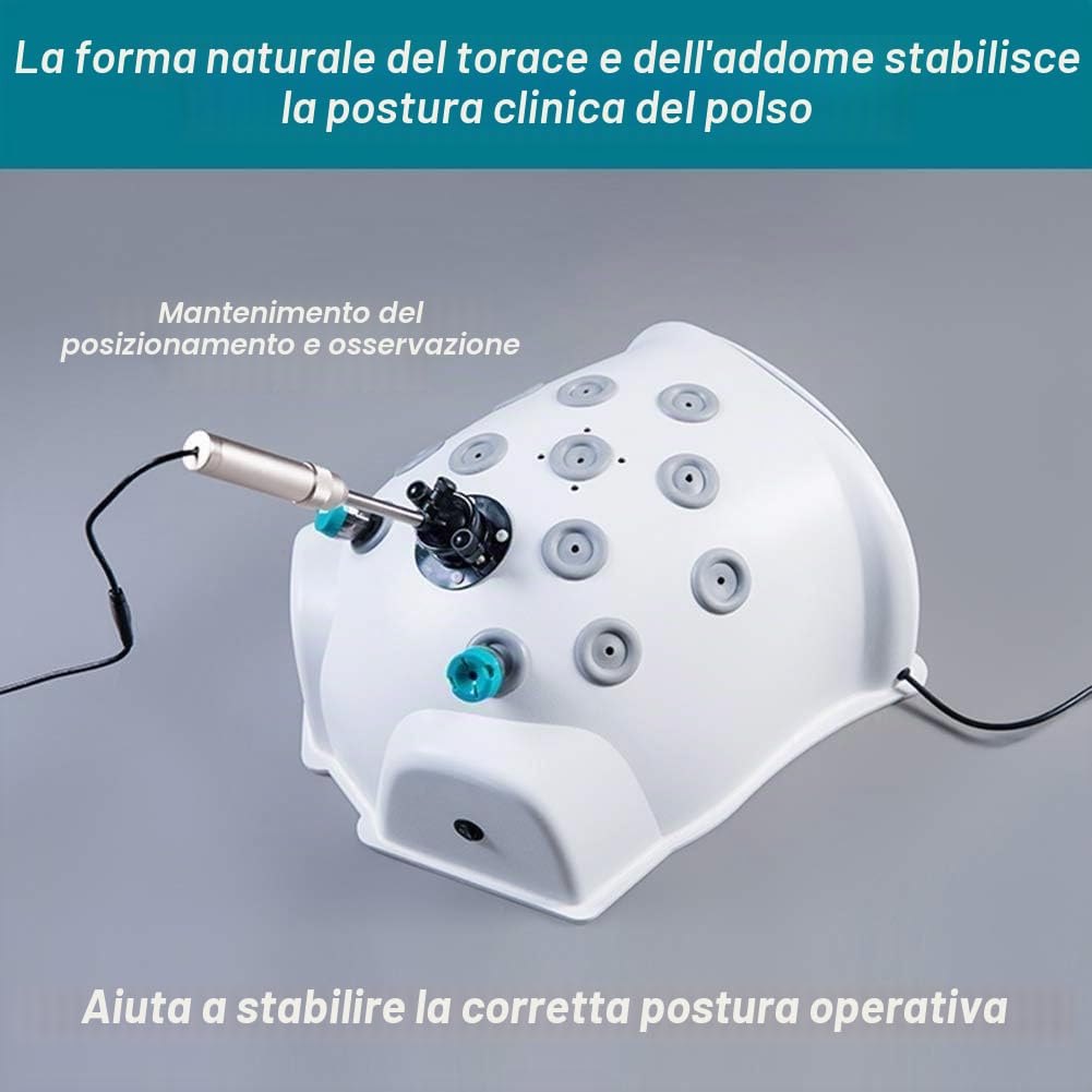Kit di Formazione Laparoscopicastrumenti Formazione Simulativa Chirurgia Laparoscopicakit Formazione Toracoscopicastrumenti Praticiendoscopi A 0 Gradi4 Strumenti Chirurgici9 Moduli Sutura