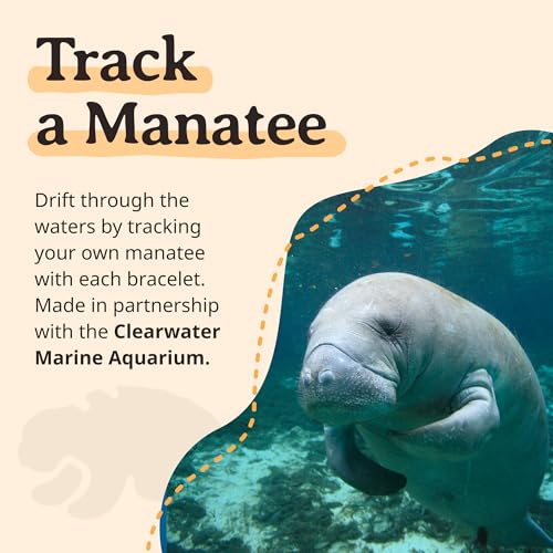 Fahlo Drift Bracelet Manatee Tracking Bracelet, Elastic, Supports Clearwater Marine Aquarium, one Size fits Most for Men and Women3