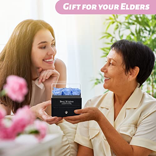 Elu Birthday Gifts Preserved Real Rose For Girlfriend Mom Women Wife Grandma With Necklace And Earings, Romantic Gifts For Wedding Anniversary #TOP5