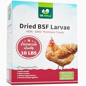 DE AVILA Dried Black Soldier Fly Larvae 10LB – 100% Natural BSF Larvae for Chicken Feed – BSFL 85X More Calcium Than Mealworms – High Calcium Treats for Birds Duck Reptiles Hedgehog Geckos Turtles