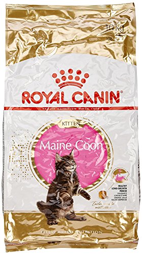 alta qualità ROYAL CANIN Cibo per gatti Kitten Maine Coon 10 Kg