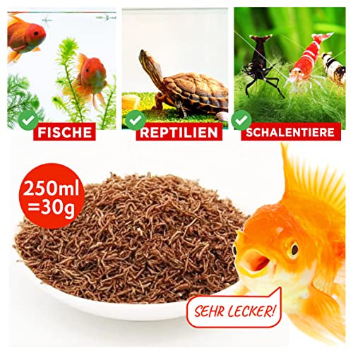 EWL Naturprodukte Rote Mückenlarven getrocknet 250 ml (30 g), Mückenlarven Fischfutter, Fischfutter Aquarium, geprüfte Qualität von deutschem Anbieter