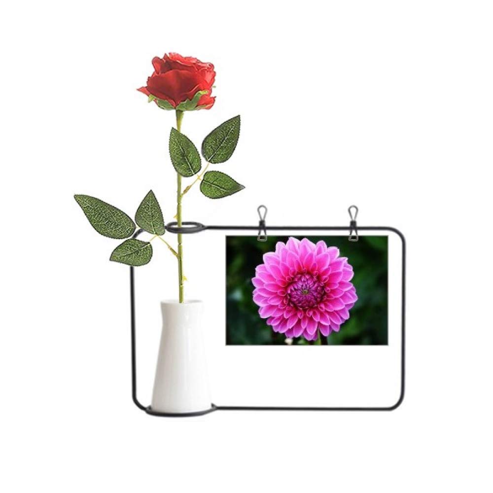Grandes fleurs roses pour embellir votre salon avec vase en bouteille