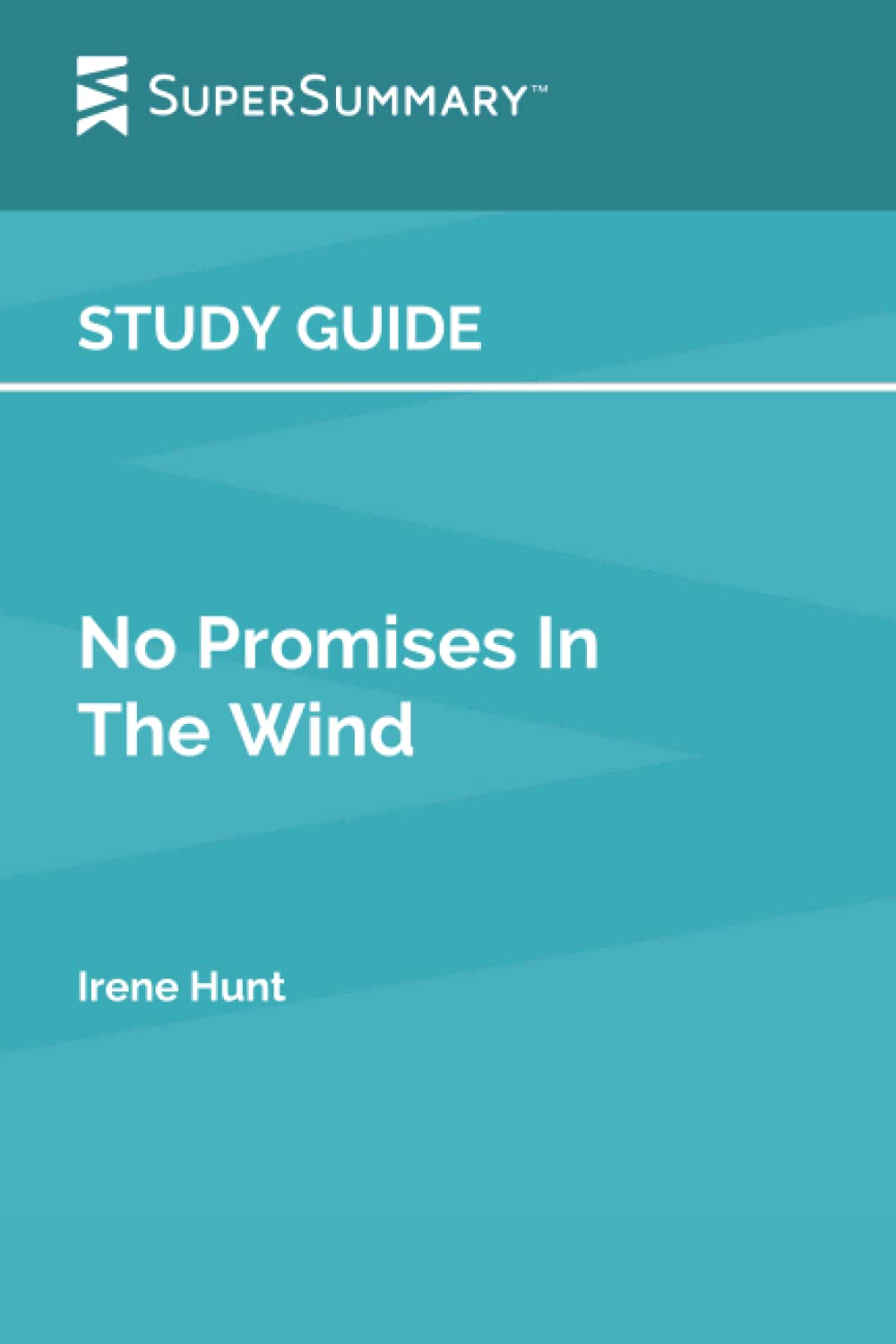 Study Guide: No Promises In The Wind by Irene Hunt (SuperSummary)
