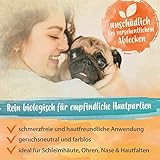 Ida Plus Wund Wunder – EINZIGARTIGER WUNDKOMPLEX statt Silberspray für Hund, Katze, Pferd – Reinigung äußerlicher Hautverletzungen – Fördert die Regeneration – Schmerzfreie Anwendung – mit Probiotika