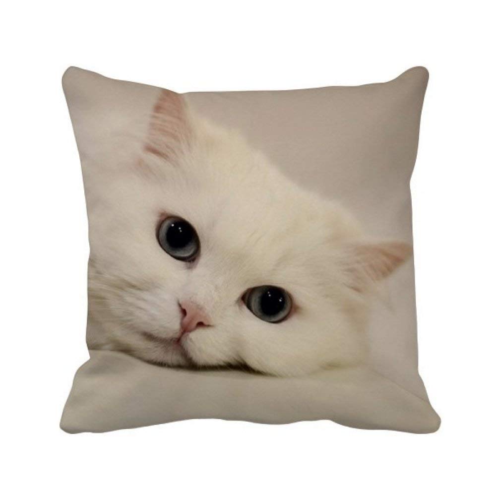 Coussin relax chat blanc pour soulager le dos et decorer un canape fatigue