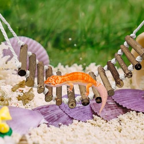 Escada de madeira para répteis, rodízio flexível – fácil montagem decorativa resistente lagarto esca