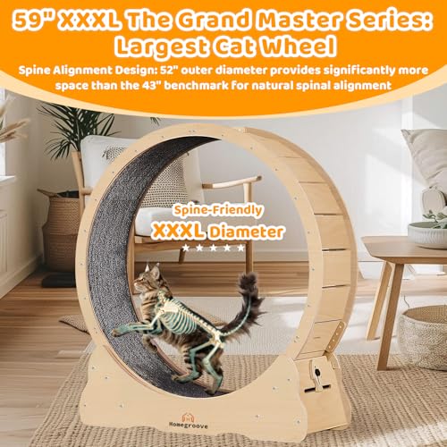 Image of Homegroove XXXL Giant Cat Wheel, 59 inch /150cm Extra Large Cat Exercise Wheel for Maine Coon & Large Cats - Spinal Alignment Design, Solid Wood Cat Treadmill with Safety Lock & Anti-Pinch Gap