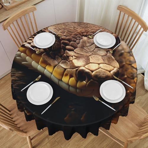 SDTMNE Round Tablecloth 60 Inch A Snake Nearby Waterproof Tablecloth for Dining Table...