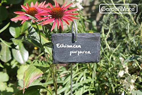 Gardenmate 5-Pack Natural Style Slate Plant Labels (4"X 2 3/4") Hanging From A Stainless Steel Metal Rod (17") #TOP1