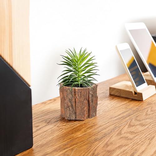 Image of Housoutil Wooden Vase for Centerpieces, 3 Pack Wood Flower Vase Rustic Tree Stump Planter Pots, Wooden Bark Flower Bucket for Wedding, Farmhouse Christmas Table Decor, Round Bark Stump Pots （9cm*8cm）