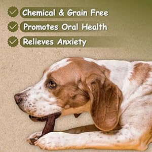 Top Dog Chews - 6" Bully Sticks Roasted - All Natural from Free Ranging Beef - 25 Pack Top Dog Chews 6 Bully Sticks Roasted All Natural from Free Ranging Beef 25 Pack