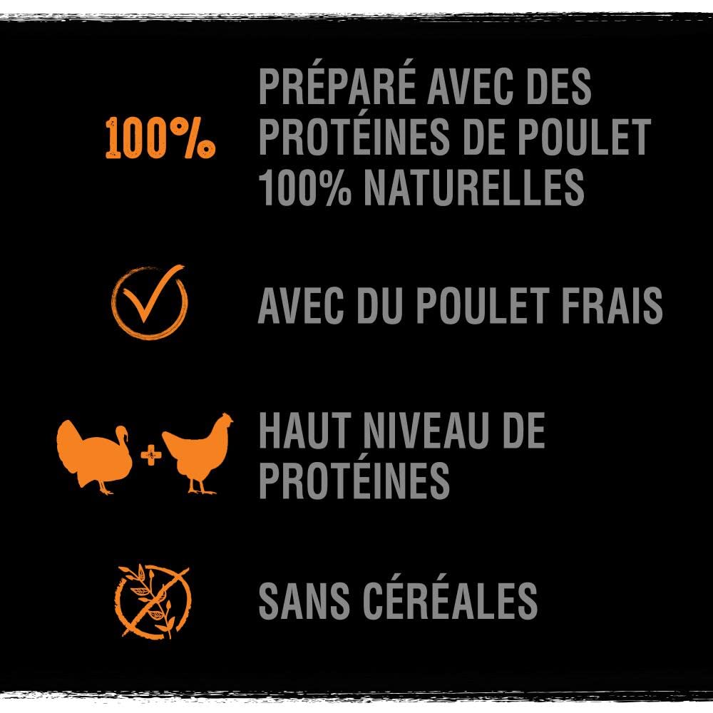 CRAVE Croquettes pour Chien Adulte à la Dinde et au Poulet - 1 sac de 7kg - Nourriture Sèche Sans Céréales, avec un Haut Niveau de Protéines