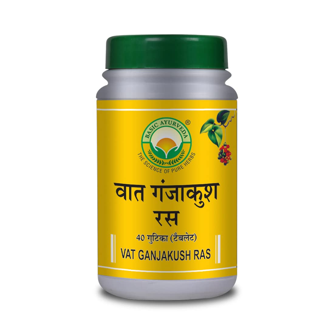 BASIC AYURVEDA Vat Ganjakush Ras 40 Tablets Pack of 8 | (B0B2LVFLVZ) Amazon Price History, Amazon Price Tracker