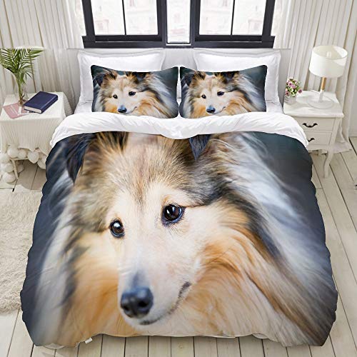 ZOANEN Bettwäsche - Bettwäscheset Schließen Sie Oben vom netten kleinen Sheltie Hund Multicolor Bettbezug Kissenbezug Set Bettbezug 135 * 200cm, Kissenbezug 80 * 80CM * 2