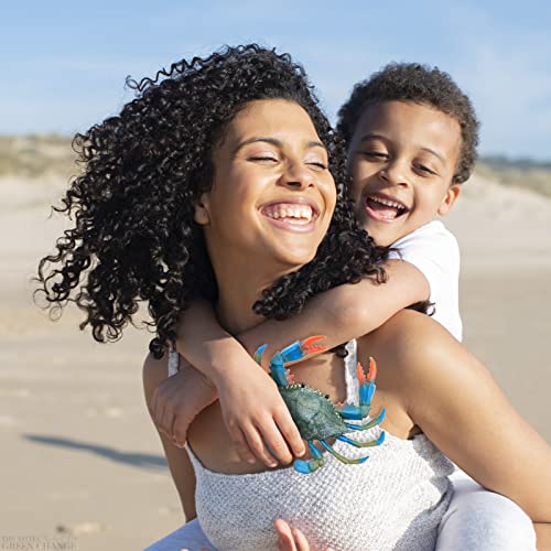 2Pcs Realistic Crab Toy Wall Decor - Educational Bath Toys For Toddlers Ocean Animals Toys Plastic Food Toys Crab Toy For Baby - Animal Bath Toys Ocean Cake Decorations Kids Bath Toys Crab Baby Toy #TOP5