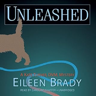 Unleashed Audiolibro Por Eileen Brady arte de portada