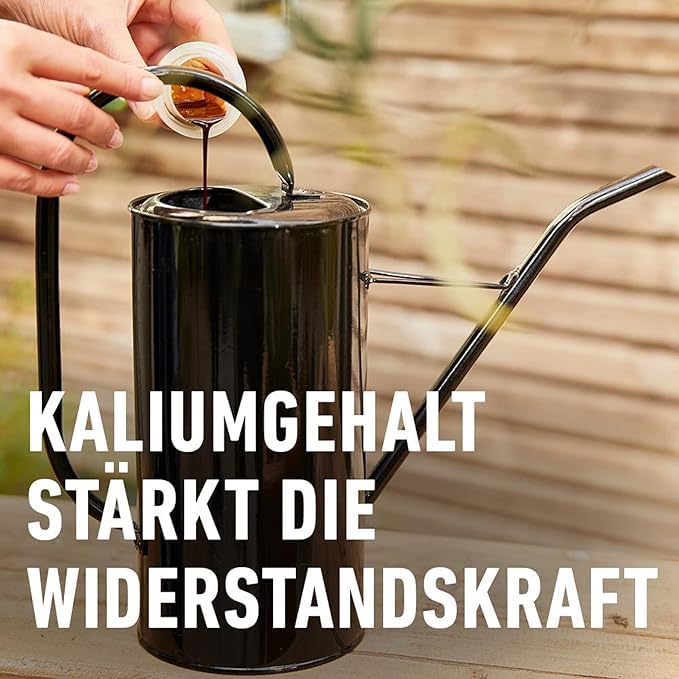 COMPO BIO Olivenbaumdünger – Olivenbäume düngen mit 100 Prozent natürlichen Inhaltsstoffen – Spezial-Flüssigdünger – 500 ml