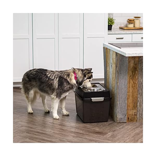 IRIS Large Elevated Feeder with Airtight Storage, Black IRIS Large Elevated Feeder with Airtight Storage, Black