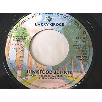 Larry Groce Junkfood Junkie 7" Warner Bros K16716 EX 1975