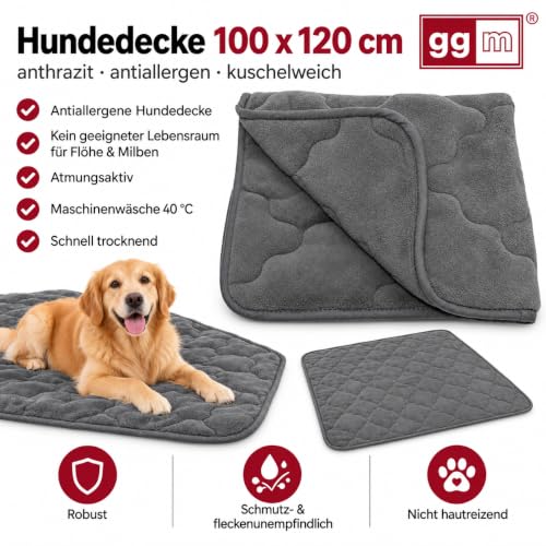 ggm antiallergische Hundedecke in 100x120 cm – Schnell trocknende, unempfindliche & Flauschige Kuscheldecke, Maschinenwaschbare Liegedecke für Hunde, Flöhe- und Milbenresistent – anthrazit