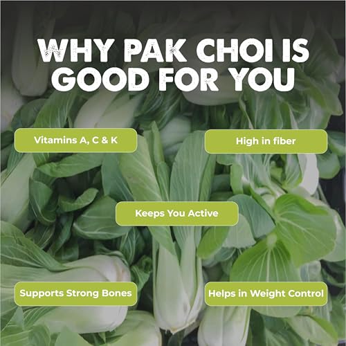 Image of Pak Choi (Pak Choi) (100 Seeds) Exotic Vegetable Seeds for Home Garden, Organic & Hybrid, Perfect for Home Gardening, Planting For Pots and Patio