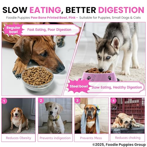 Image of Foodie Puppies Stainless Steel Pet Feeding Paw & Bone Print Bowl - 450ml (Baby Pink - Small) for Small Dogs & Puppies | Food /Water Feeding Anti-Slip /Skid Rubber Base Bowl | Non-Toxic & 100% Safe