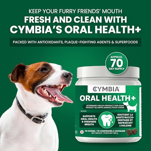 Cymbia Oral Health+ - Advanced Dog Dental Care Chews with Kelp, Pomegranate and Cranberry - Fresh Breath, Immune Support & Antioxidants - Vet-Formulated Dental Treat for Dogs - Approx. 70 Days Supply - Image 3