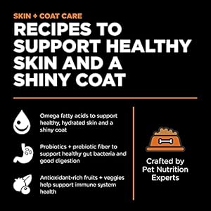 GO! SOLUTIONS Pores and skin + Coat Care – Dry Canine Meals, 12 lb – Salmon Recipe with Grains for All Life Phases – Full + Balanced Vitamin for Canine