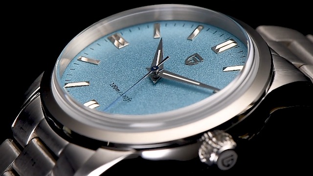 PAGRNE Design Orologi da uomo, quadrante da 38 mm, acciaio inossidabile, impermeabile fino a 100 m, al quarzo, movimento VH31 (blu