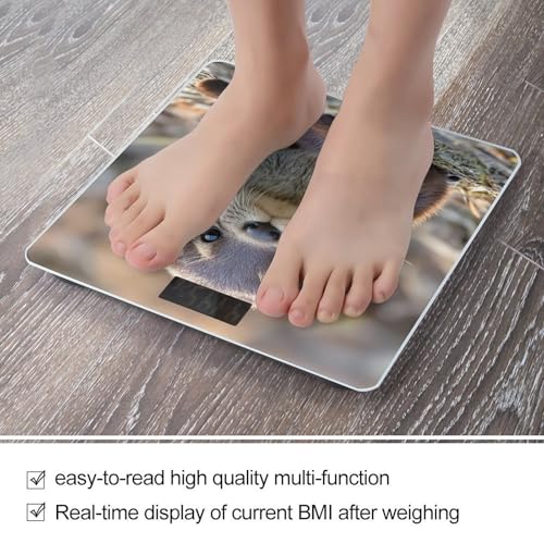 Báscula digital Cute Otter para peso corporal con pantalla LED miniatura 5