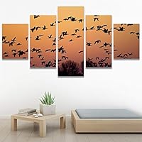 SIGNWIN 5 Panel Canvas Wall Art Birds Butterfly Closeup Colorful Contemporary Home Office Modern Art Multicolor Photography for Home Decorations Ready to Hang - 60