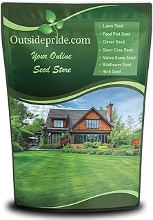 Outsidepride Midnight Kentucky Bluegrass Seed - 5 Lbs. Cold & Drought Tolerant, Sun-Loving Lawn G...