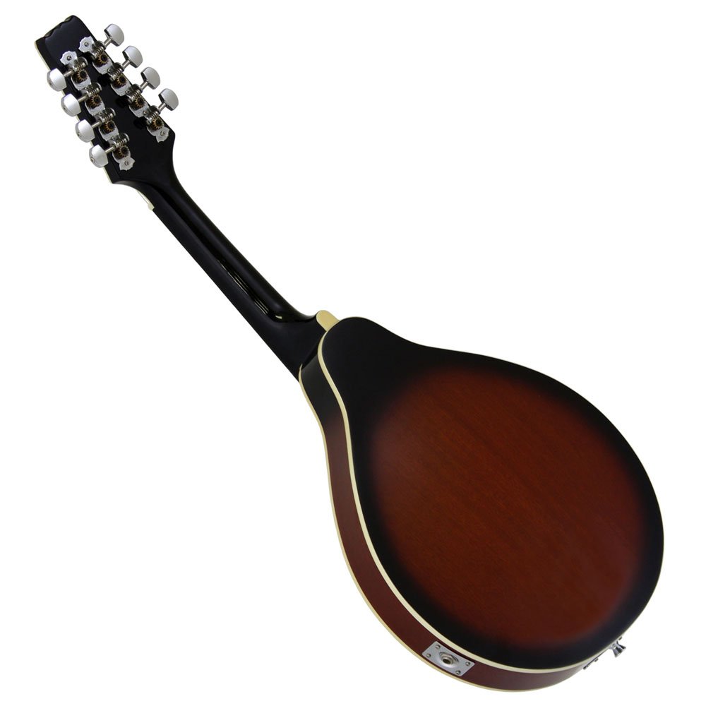 Amazon | ARIA アリア 電子マンドリン AM-20E ハードケース付き  