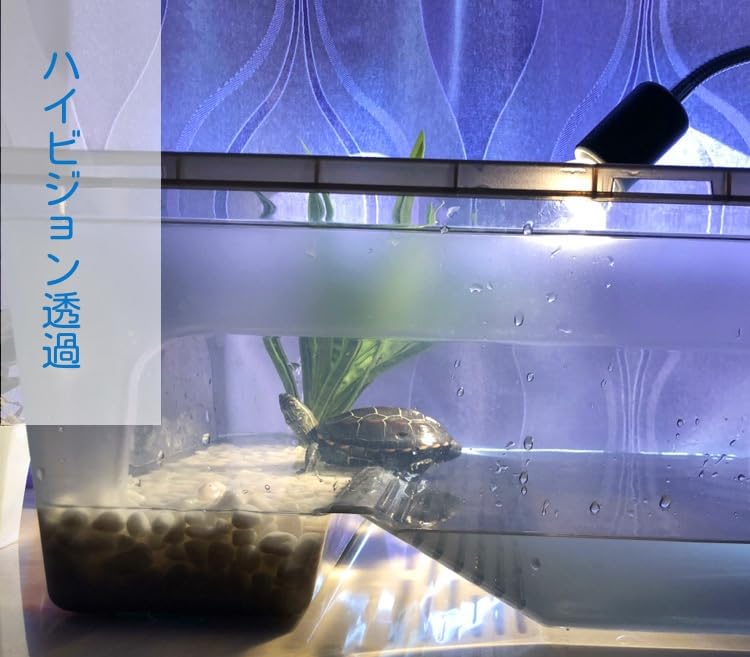 Amazon | タートルタブ 排水口付き 亀飼育ケース 爬虫類飼育ケース