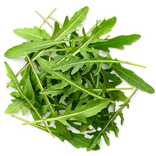 Audbhidhi Rocket Leaves Herbs Seeds For Planting (Pack of 50 Seeds) (B0BD84QX1H) Amazon Price History, Amazon Price Tracker