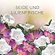 Air Wick Duftölflakon Nachfüller, Seide & Lilienfrische, 1er Pack (1 x 19 ml)