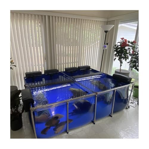 Évitez les fuites avec ce bassin d'aquaculture durable en PVC