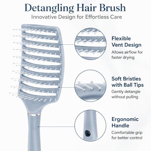 Image of GLUN Portable Detangling Hair Brush Pack of 1 Blue Colour, Curly & Straight Hair Brush for Women & Men Accessories Use in Salon, Home & Personal Use