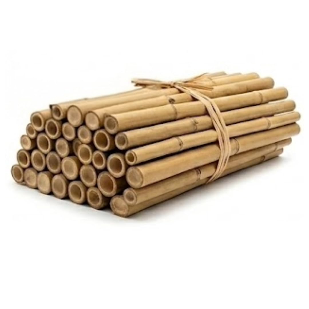 ASA® Strong Heavy Duty 6ft(14-16mm) Bamboo Canes Natural Gardening Plant Support Bamboo Sticks Indoor Outdoor Plant Support Stakes Strong & Sturdy Bamboo Canes for Tomato, beans (40)